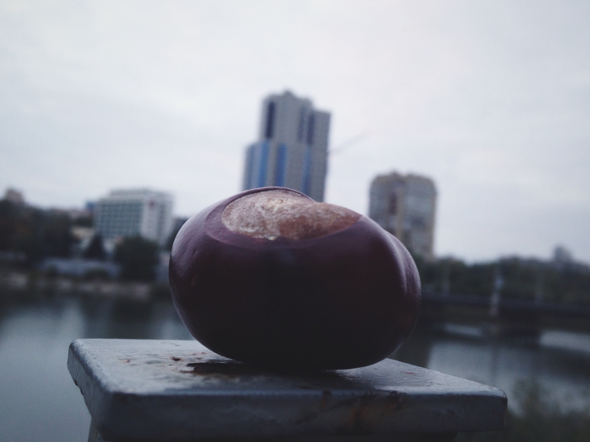 Apple iPhone5,4 sample photo