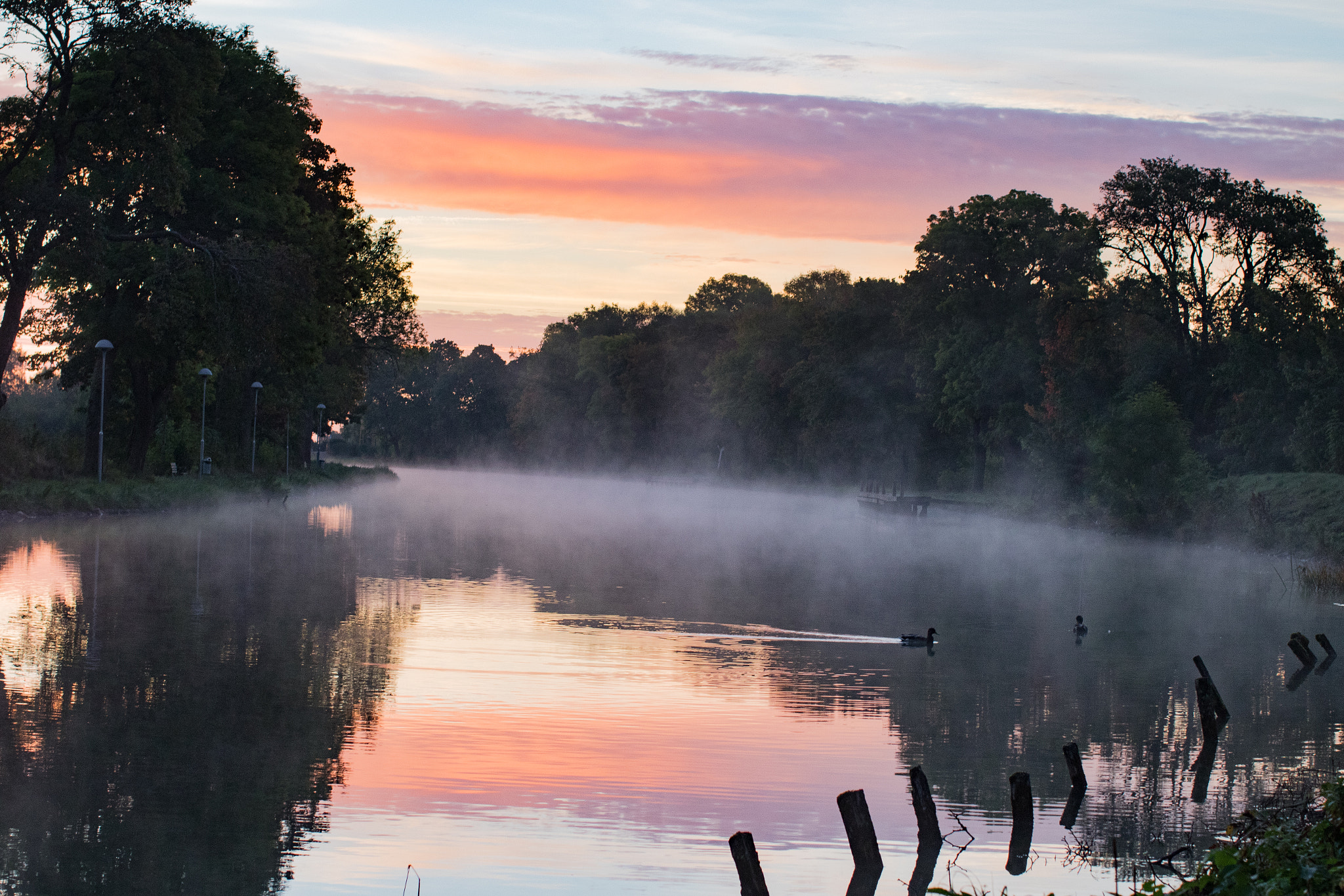 Canon EF 50mm F1.2L USM sample photo. September morning! photography