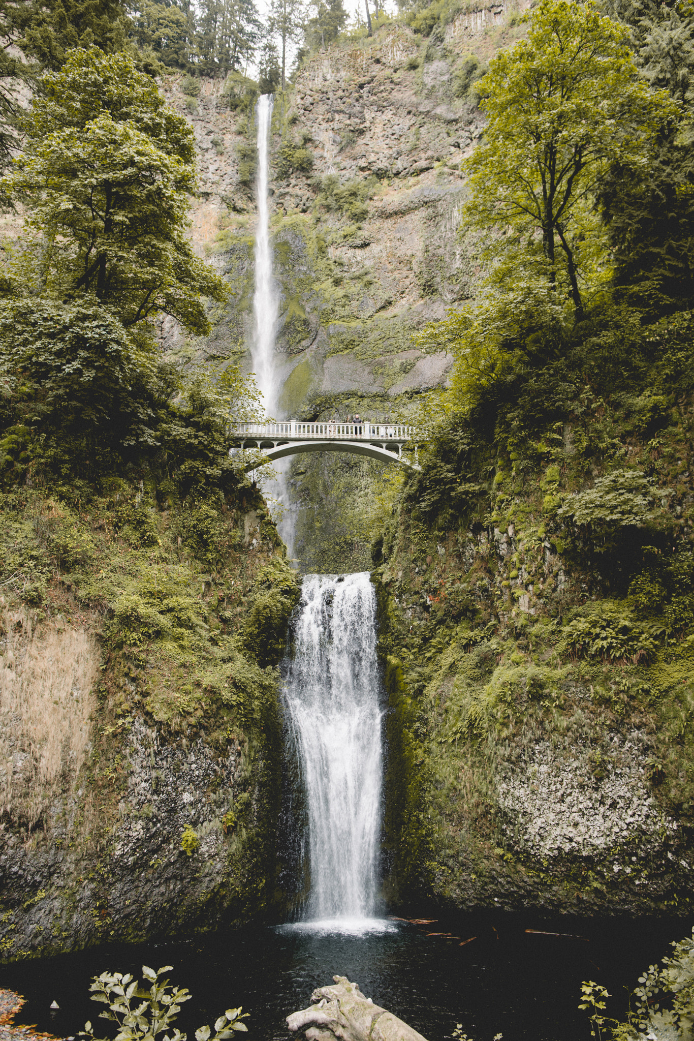 Sony a7R II + Canon EF 24mm F1.4L II USM sample photo. Multnomah falls in oregon photography