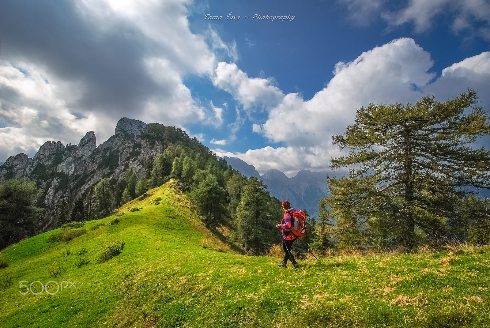 Nikon D60 sample photo. Autumn in the mountains.. photography
