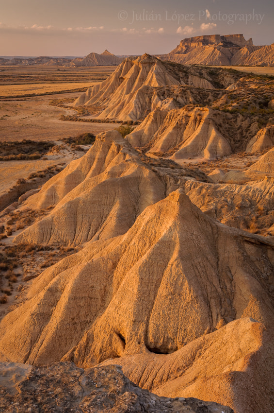 Sigma 17-70mm F2.8-4 DC Macro OS HSM | C sample photo. Bardenas photography
