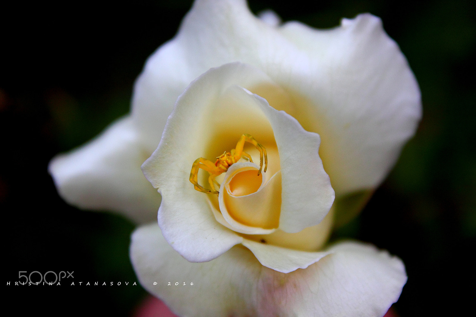 Canon EF-S 18-55mm F3.5-5.6 IS sample photo. Air... photography