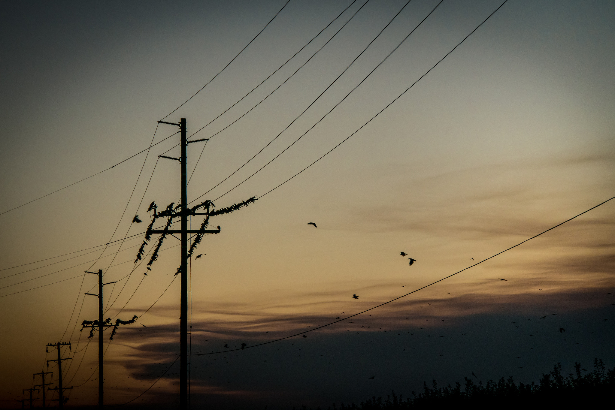 1 NIKKOR VR 10-100mm f/4-5.6 sample photo. Waiting photography