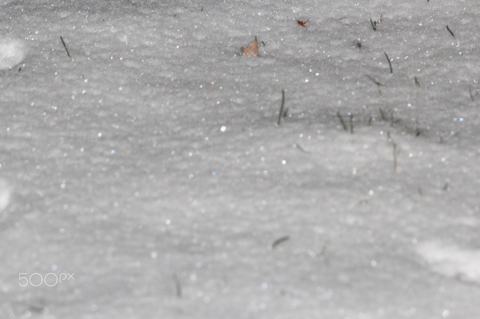 Canon EF-S 55-250mm F4-5.6 IS sample photo. Snow photography