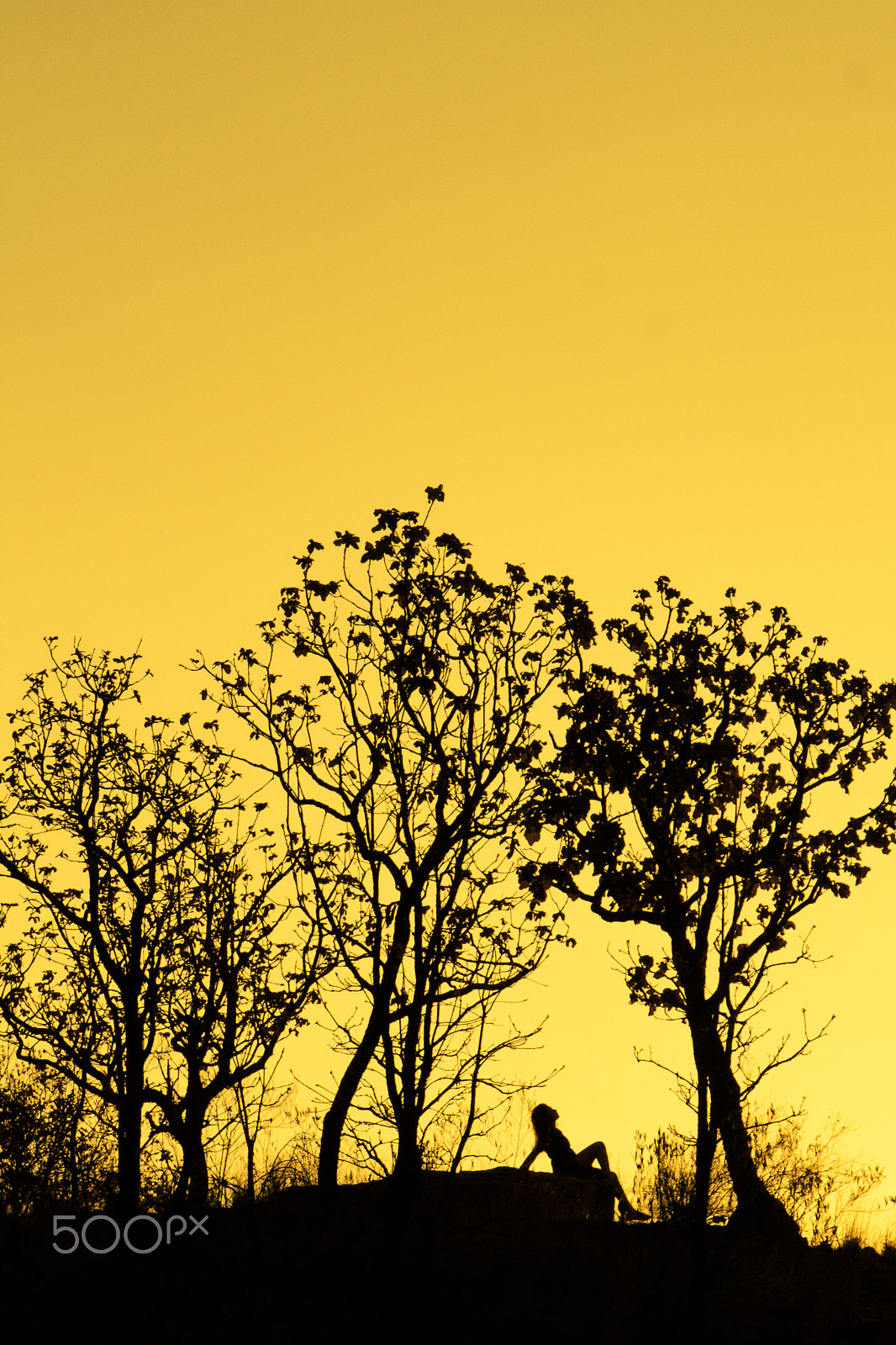 Canon EOS 650D (EOS Rebel T4i / EOS Kiss X6i) sample photo. Atardecer photography