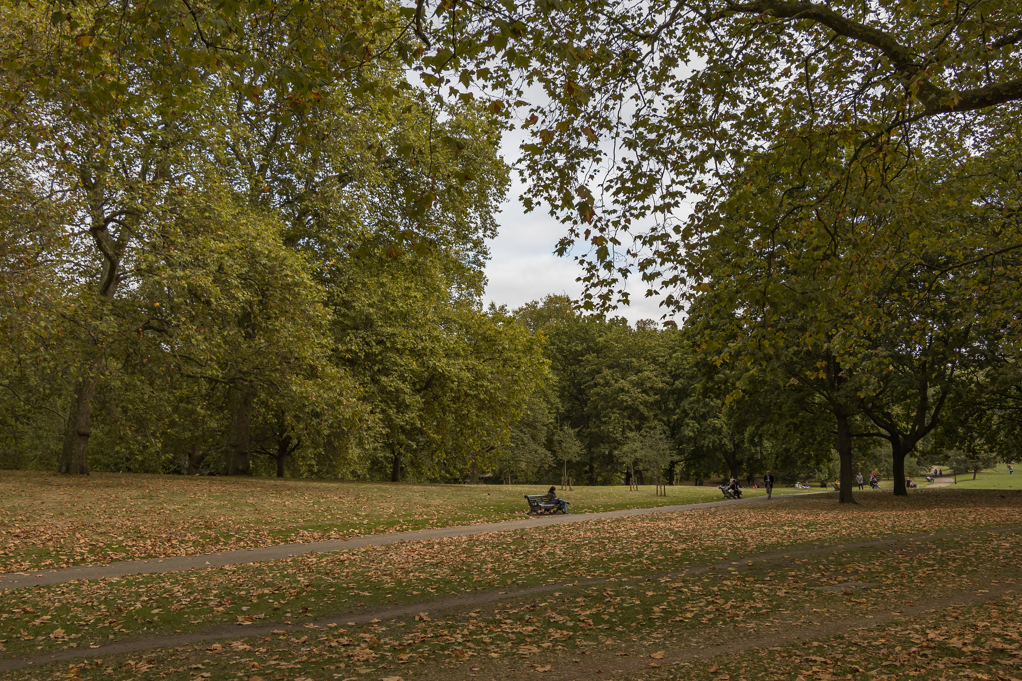 Canon EOS M10 sample photo. Autumn photography