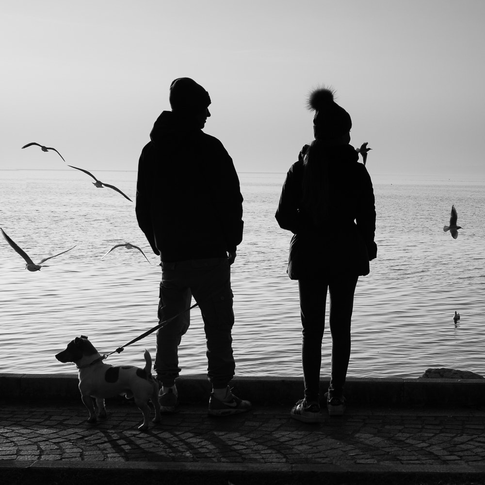 Olympus OM-D E-M5 II + Panasonic Leica DG Summilux 25mm F1.4 II ASPH sample photo. Lago di garda photography