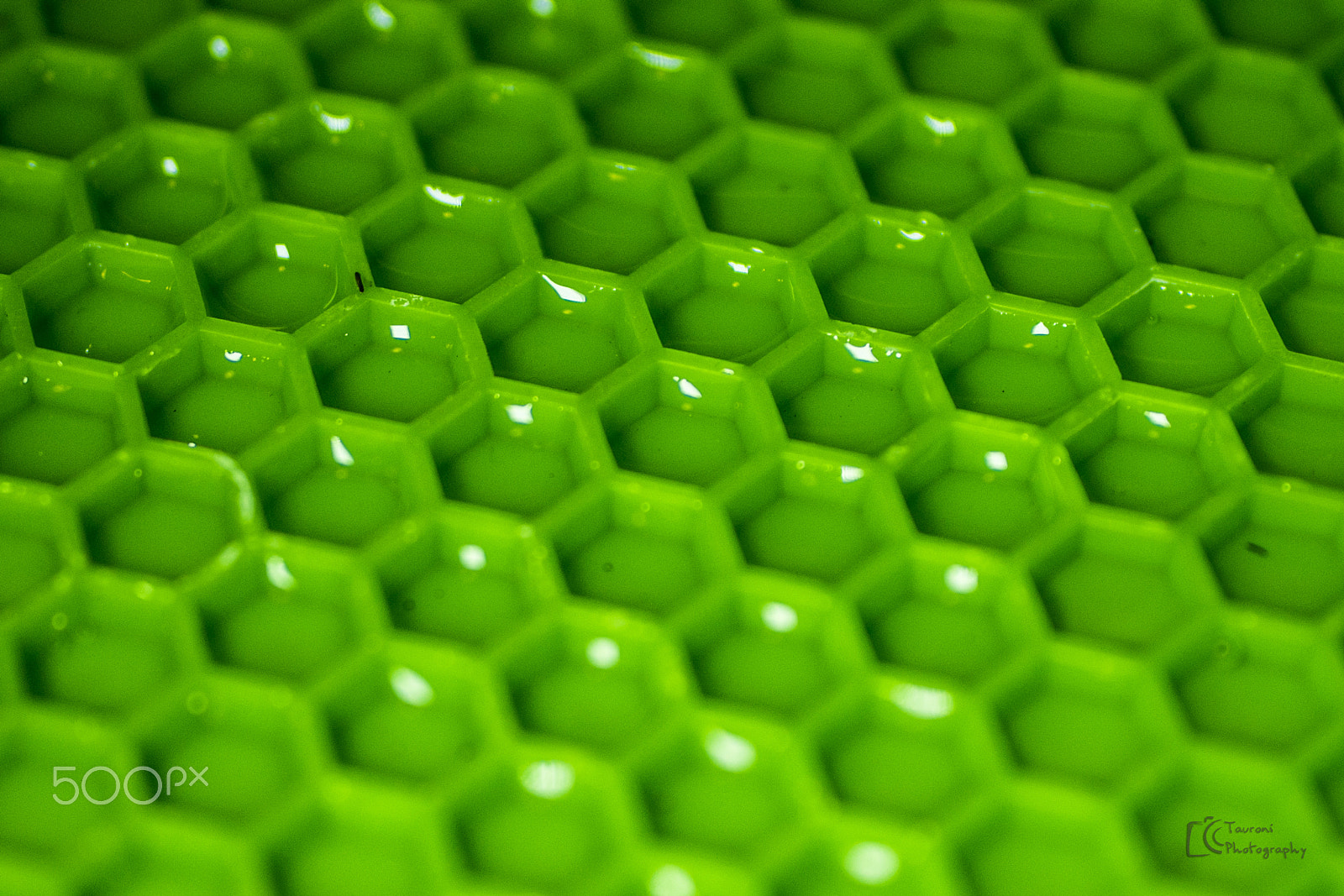 Nikon D3100 + Sigma 50mm F2.8 EX DG Macro sample photo. Texture photography