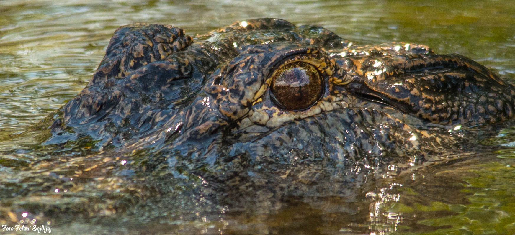 Sigma 150-500mm F5-6.3 DG OS HSM sample photo