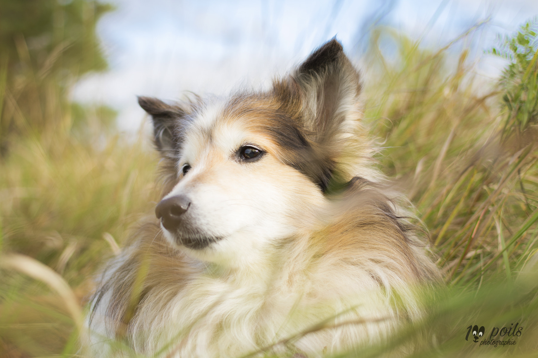 Canon EF 40mm F2.8 STM sample photo. Sweet healing photography