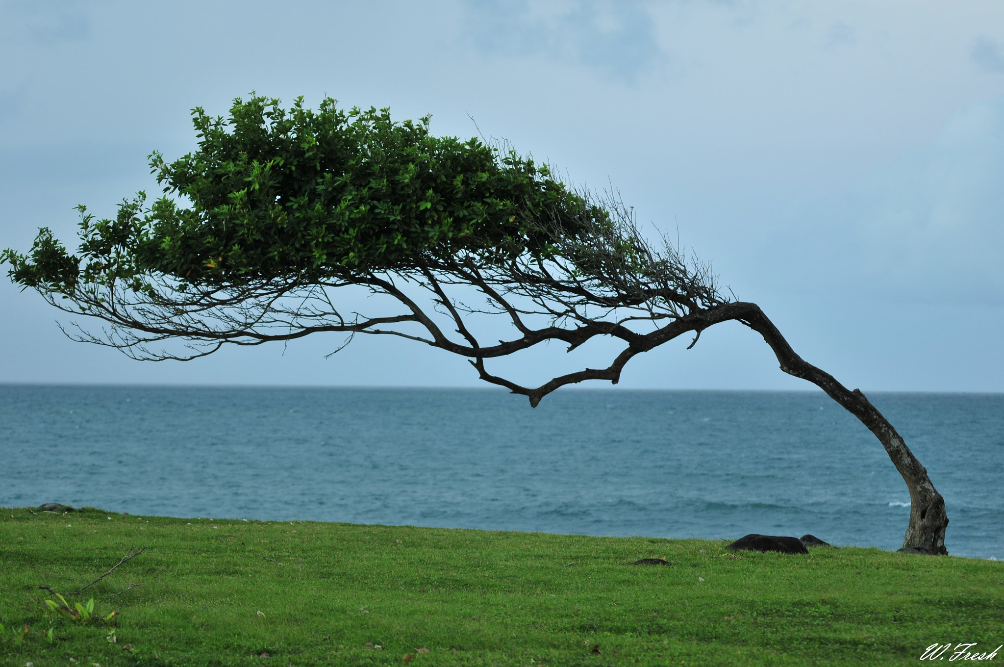 Nikon D300 sample photo. New photography