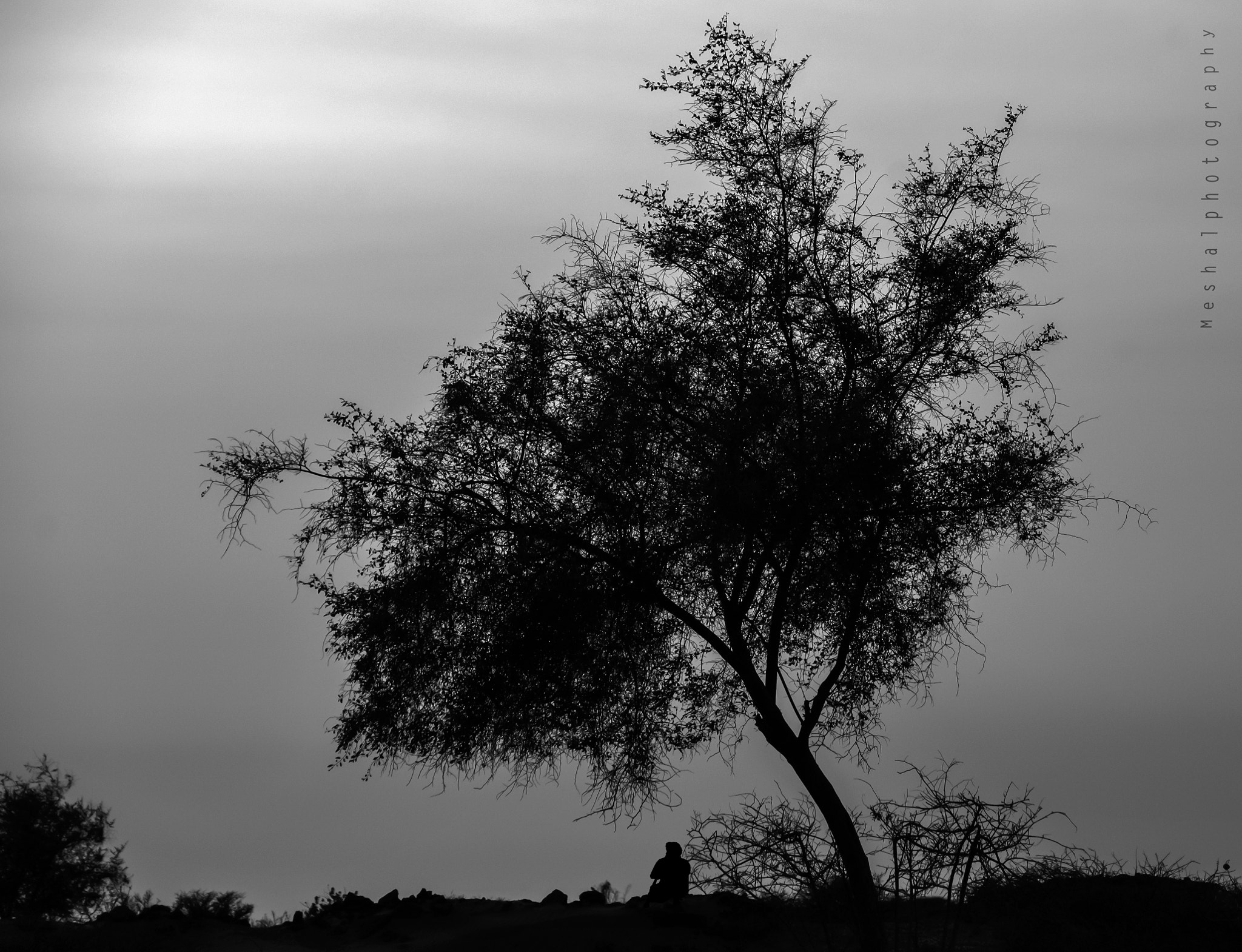 Sigma 70-300mm F4-5.6 APO DG Macro sample photo. The big world make the humans small photography