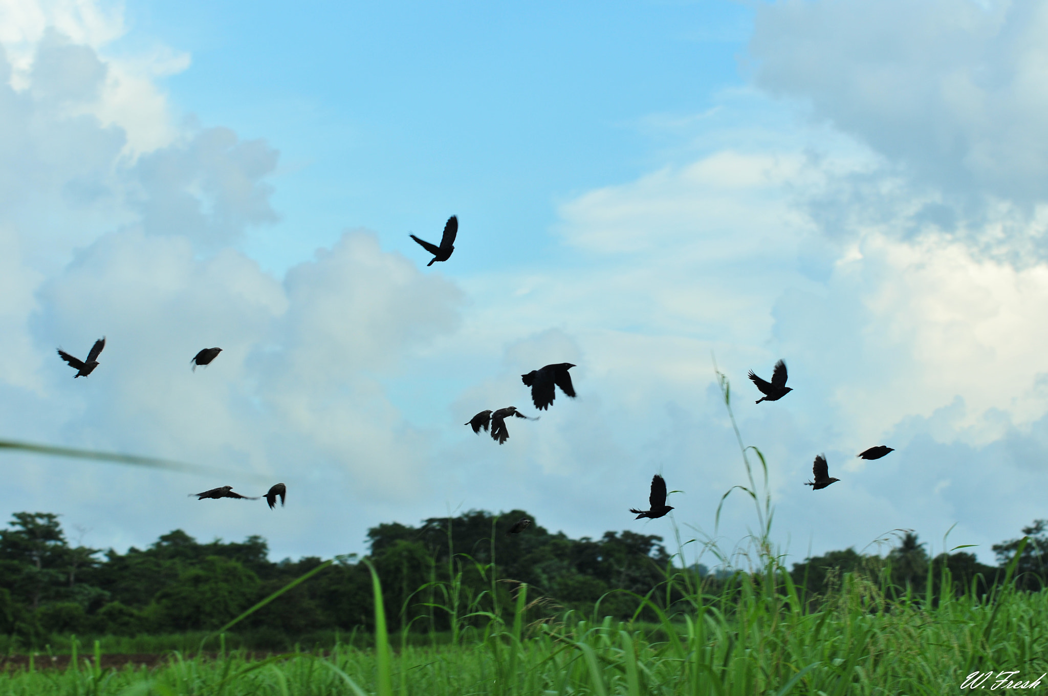 Nikon D300 sample photo. New photography