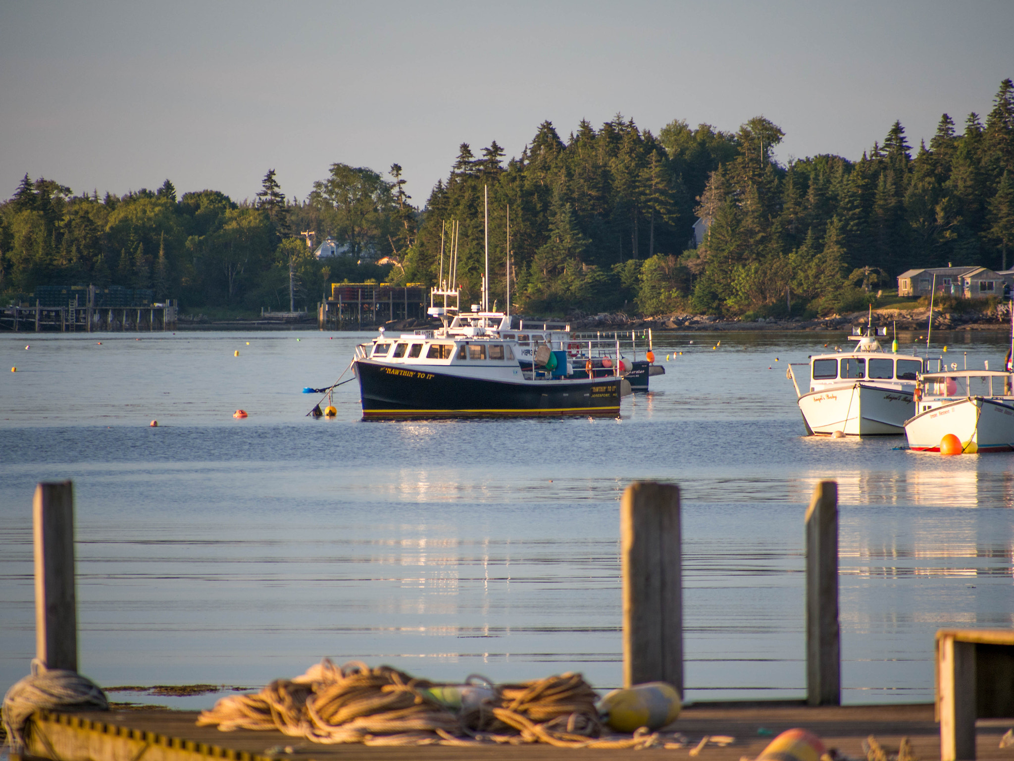 Olympus OM-D E-M5 + Panasonic Lumix G Vario 45-200mm F4-5.6 OIS sample photo. Lobster boats down east maine photography