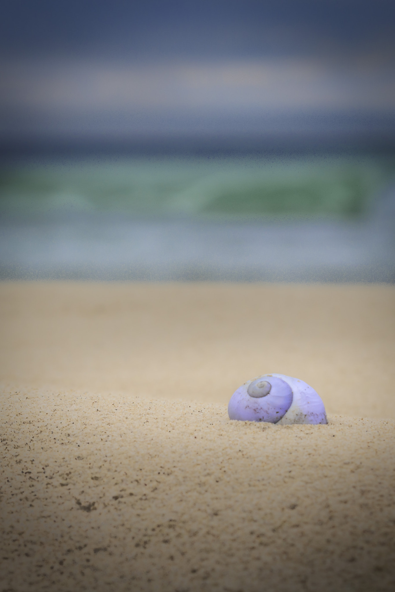 Canon EF 70-200mm F2.8L IS II USM sample photo. Lone photography