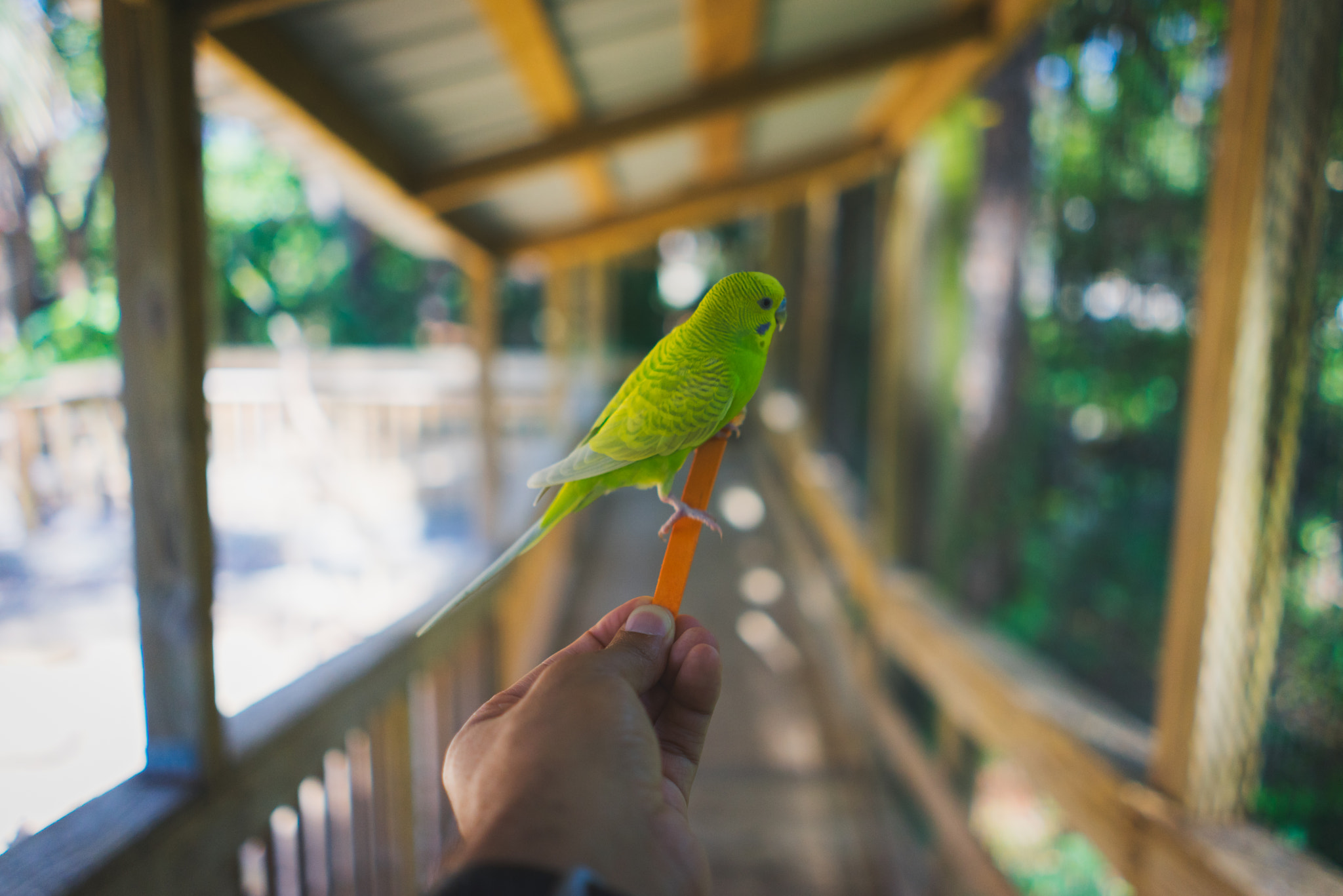 Sony a7R + Sony FE 28mm F2 sample photo. Hi there! photography
