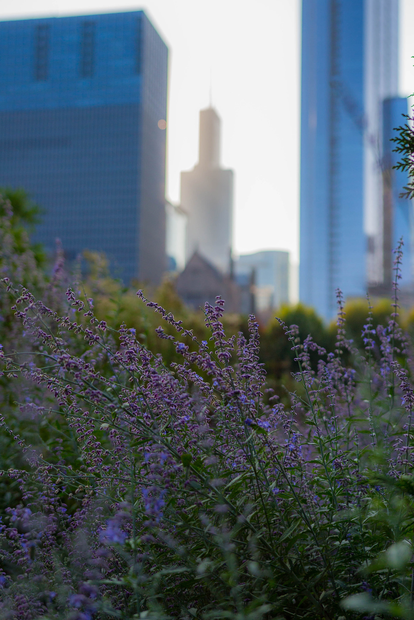 Sigma 18-35mm f/1.8 DC HSM sample photo. Piece of nature photography