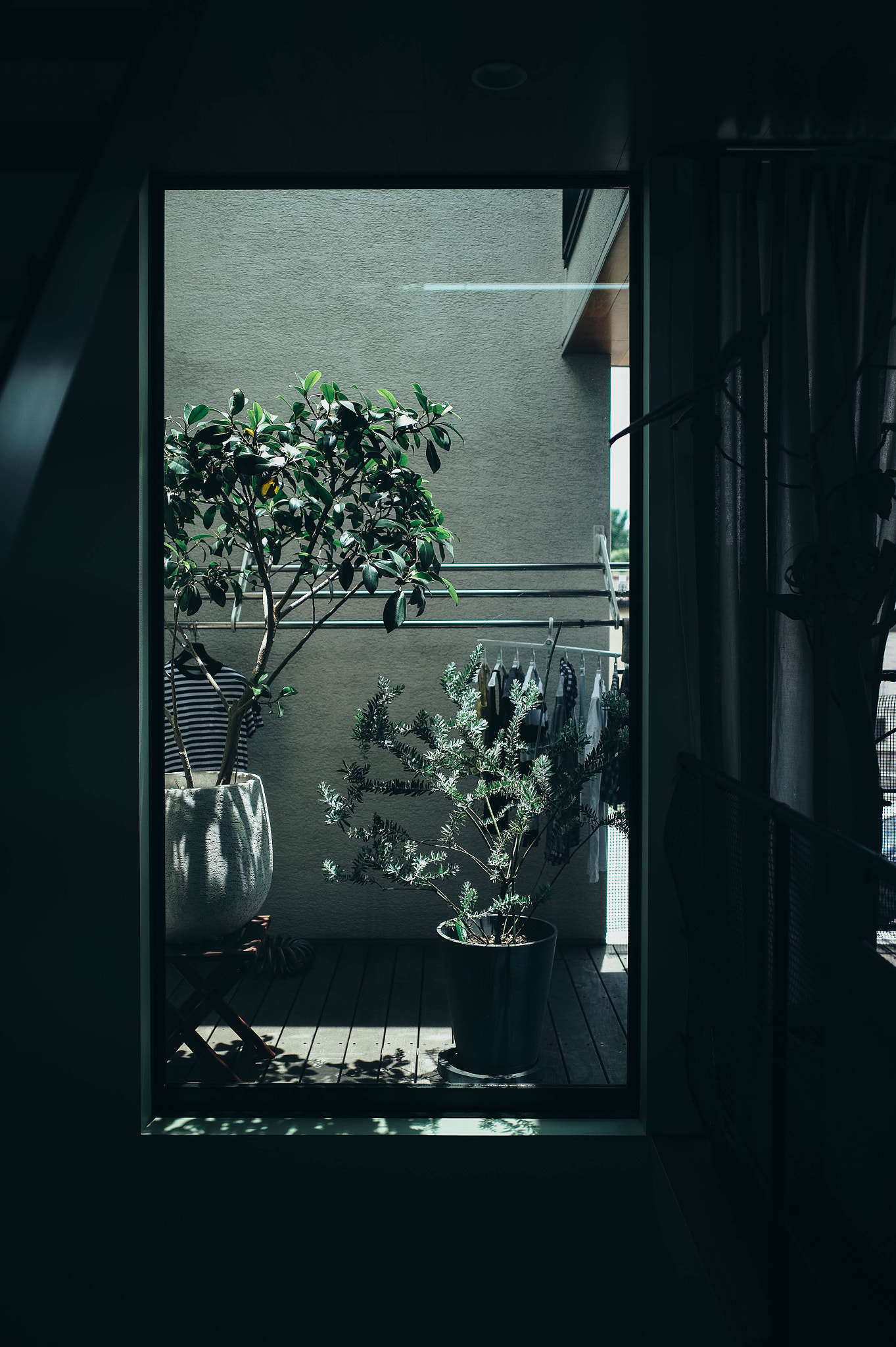 Leica M9 + Leica Summicron-M 28mm F2 ASPH sample photo. 29227597644.jpg photography