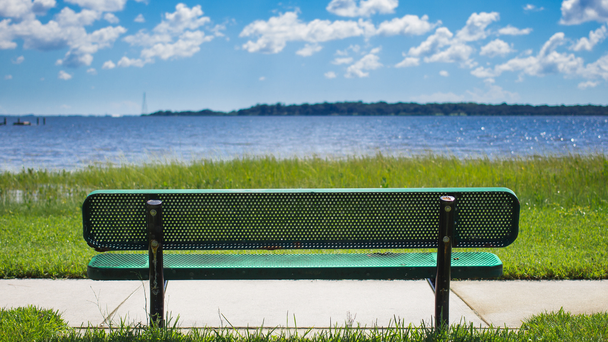 Canon EF 40mm F2.8 STM sample photo. Benched photography