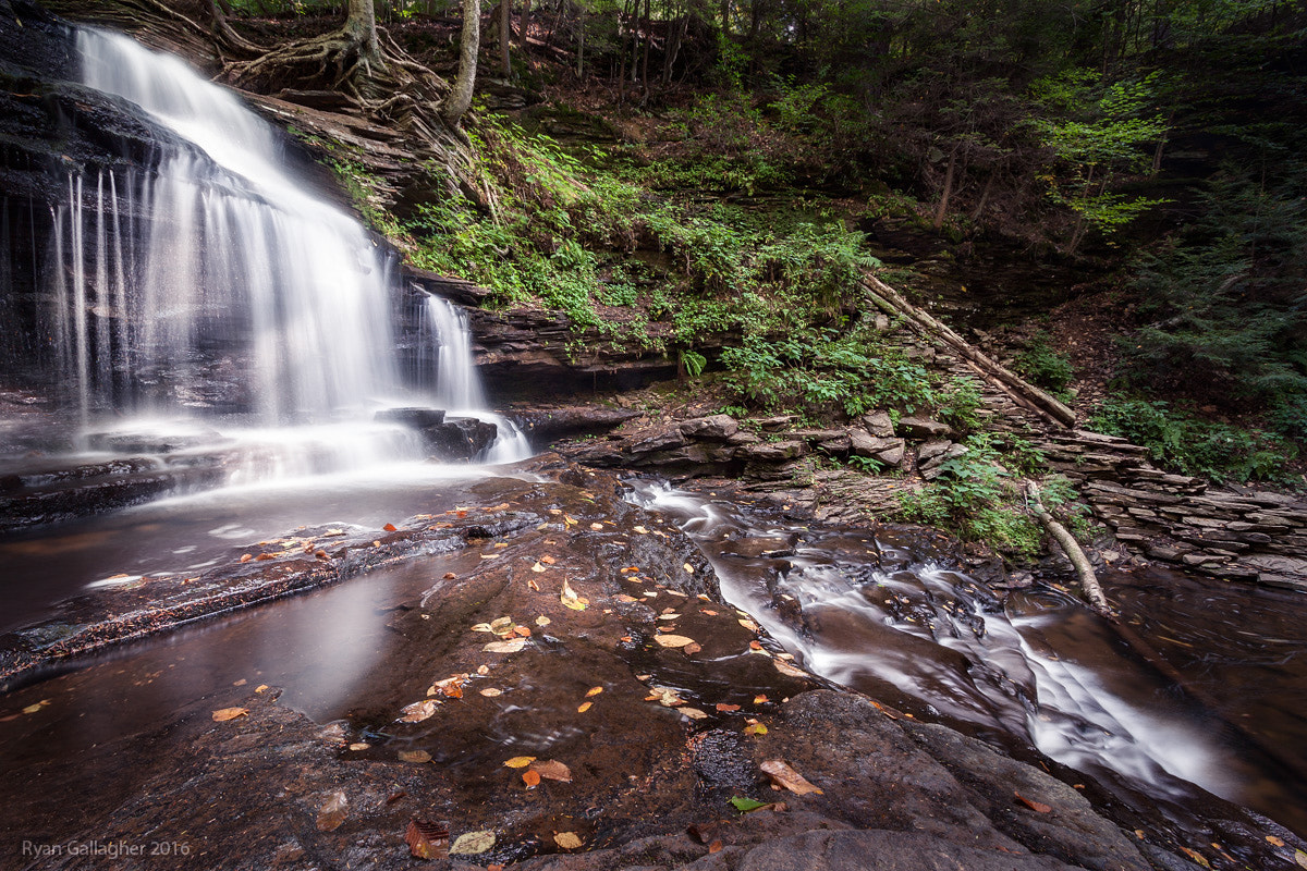 Canon EOS 500D (EOS Rebel T1i / EOS Kiss X3) sample photo. Ricketts glen 4 photography