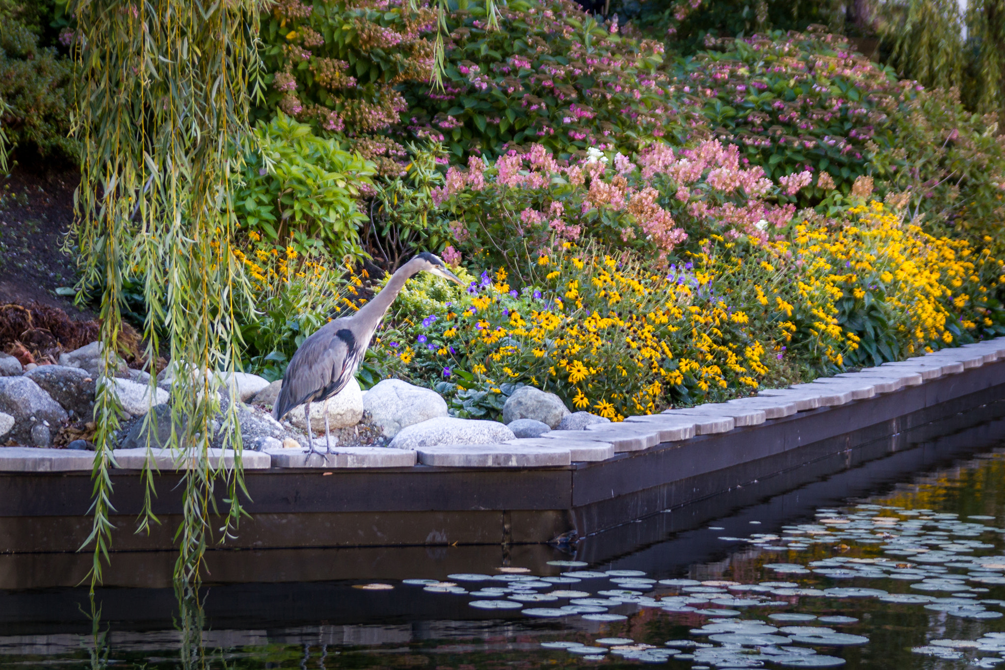 Sigma 18-50mm f/2.8 Macro sample photo. City pond photography