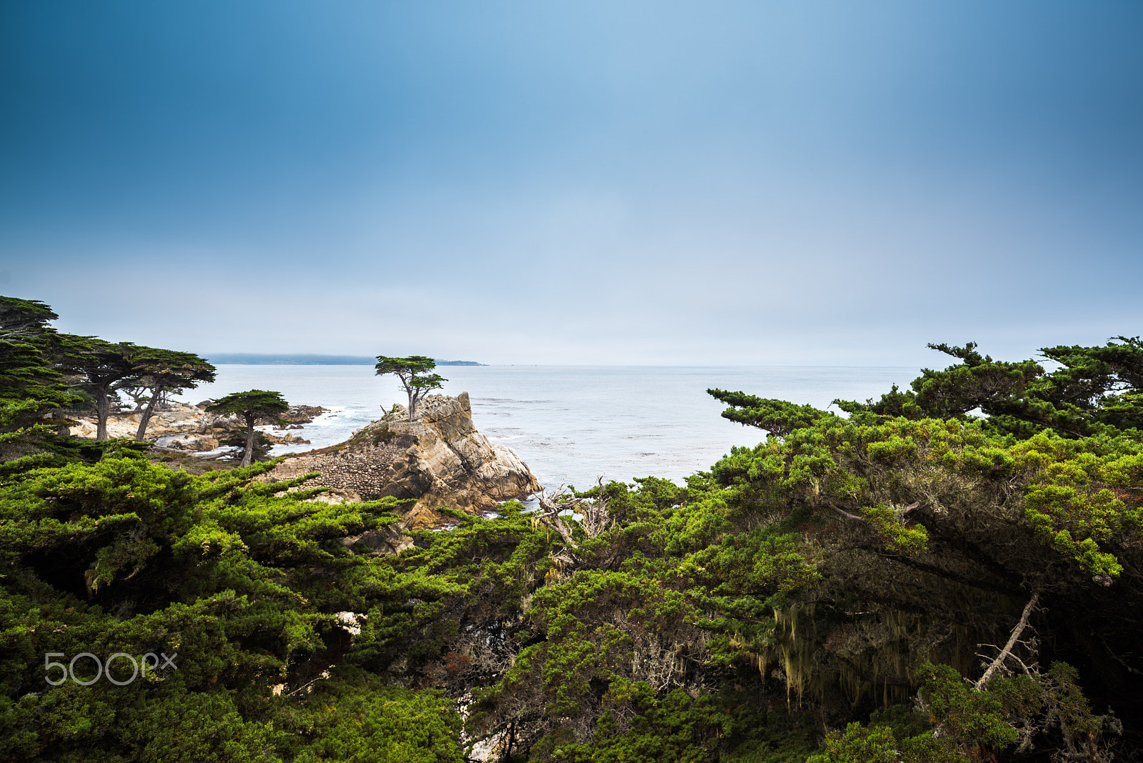 Nikon D810 + ZEISS Distagon T* 15mm F2.8 sample photo. The lone cypress photography