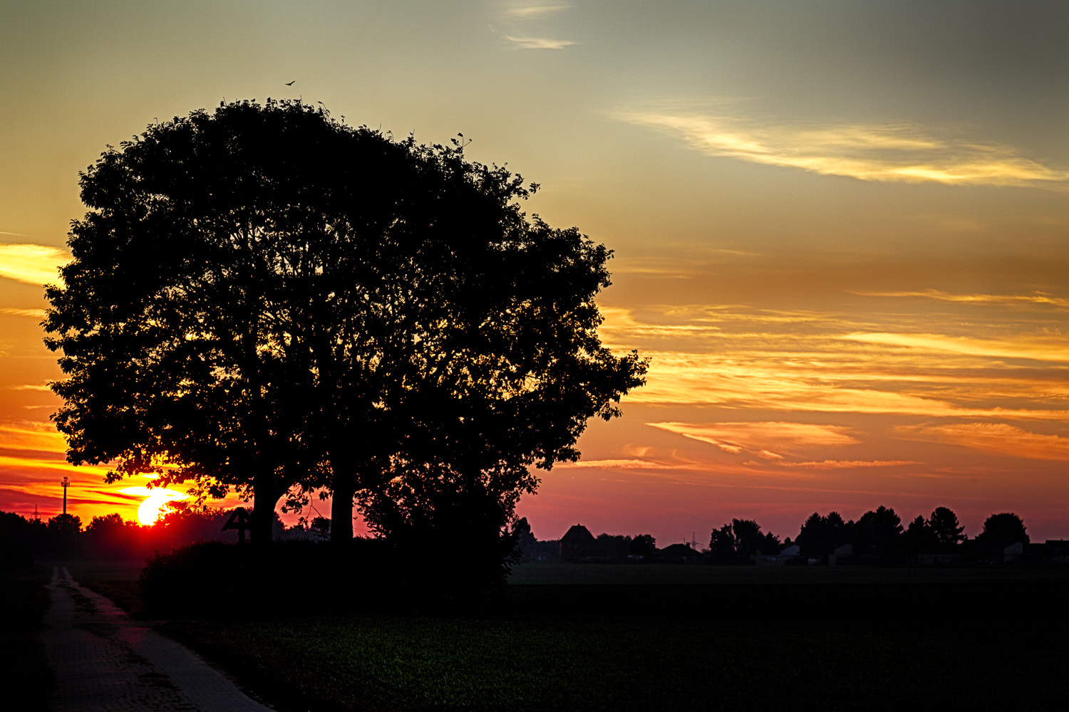 Canon EOS-1D Mark IV sample photo. Sonnenaufgang in lüttenglehn  photography