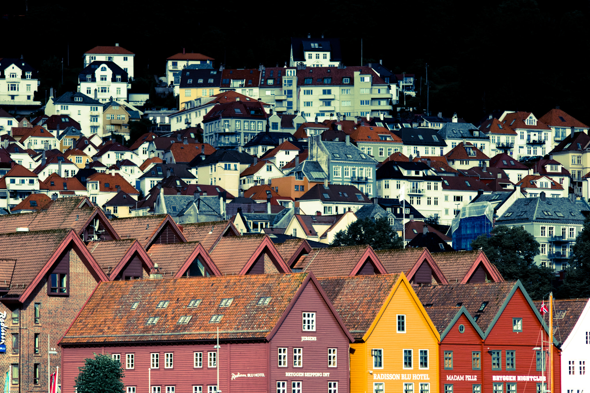 Canon EOS 80D + Sigma 50-200mm F4-5.6 DC OS HSM sample photo. The old town of bryggen photography