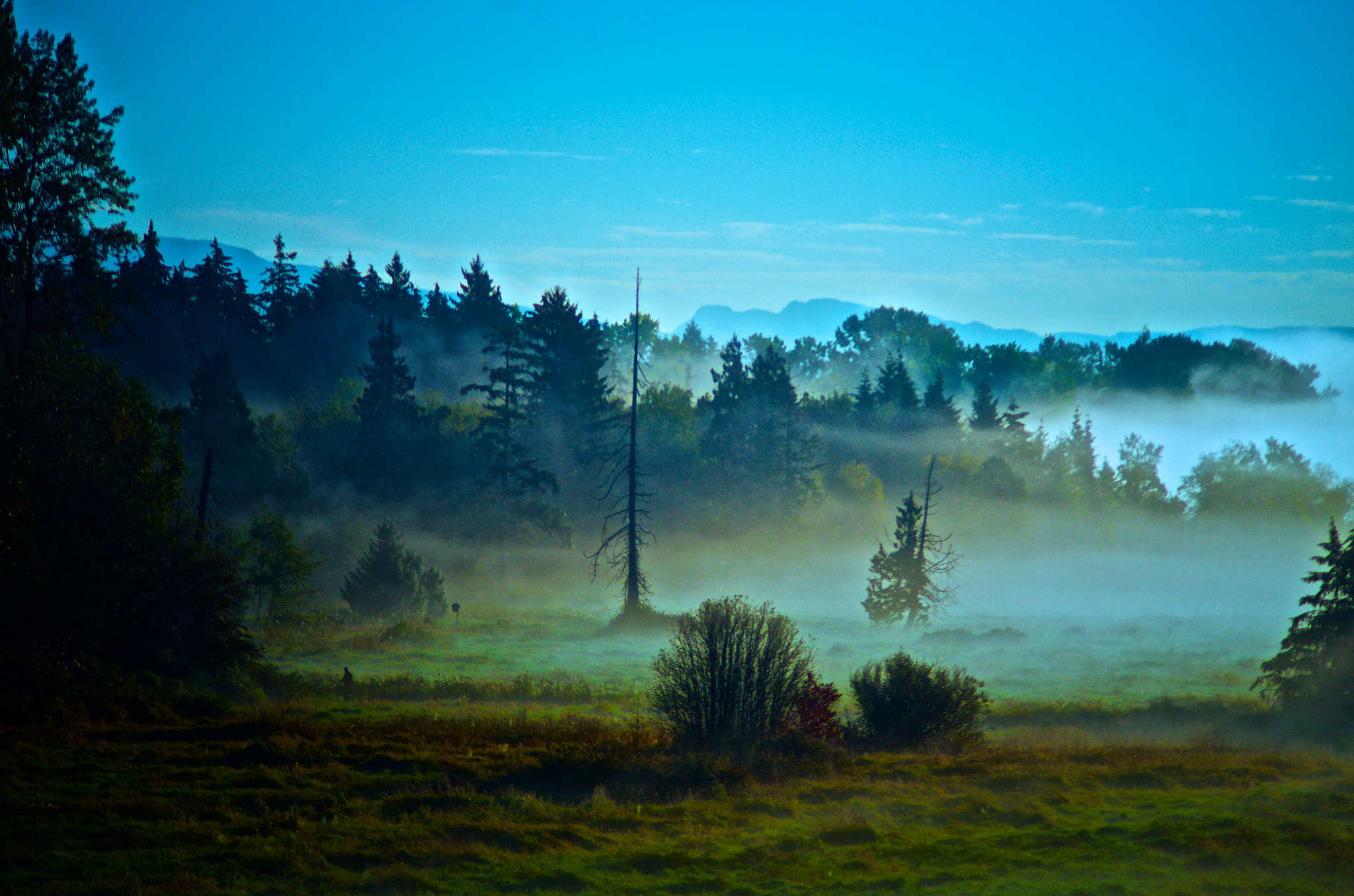 Pentax smc DA 55-300mm F4.0-5.8 ED sample photo. Creeping mist photography