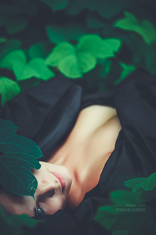 Canon EOS 5D Mark II + Sigma 50-200mm F4-5.6 DC OS HSM sample photo. Naked forest photography