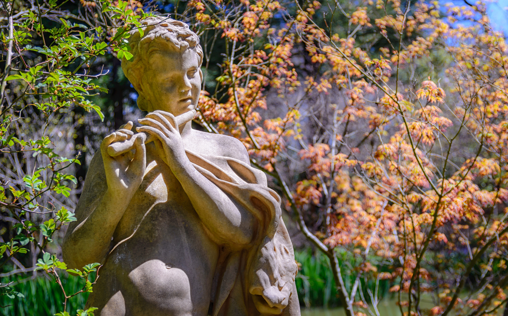 Nikon D600 sample photo. Springtime photography