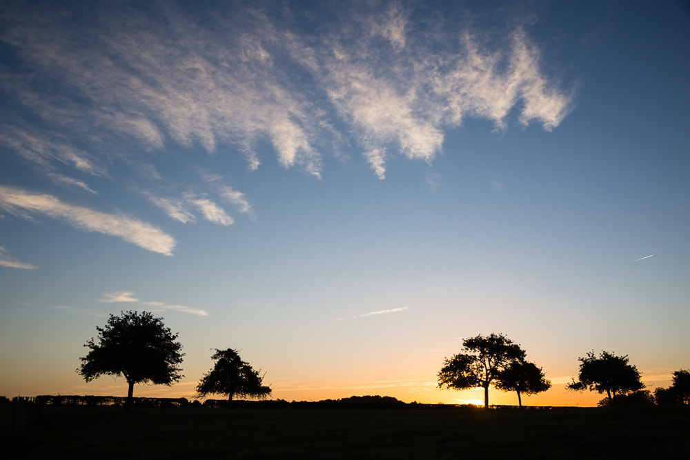 Canon EF 28-105mm F4.0-5.6 USM sample photo. Matin photography