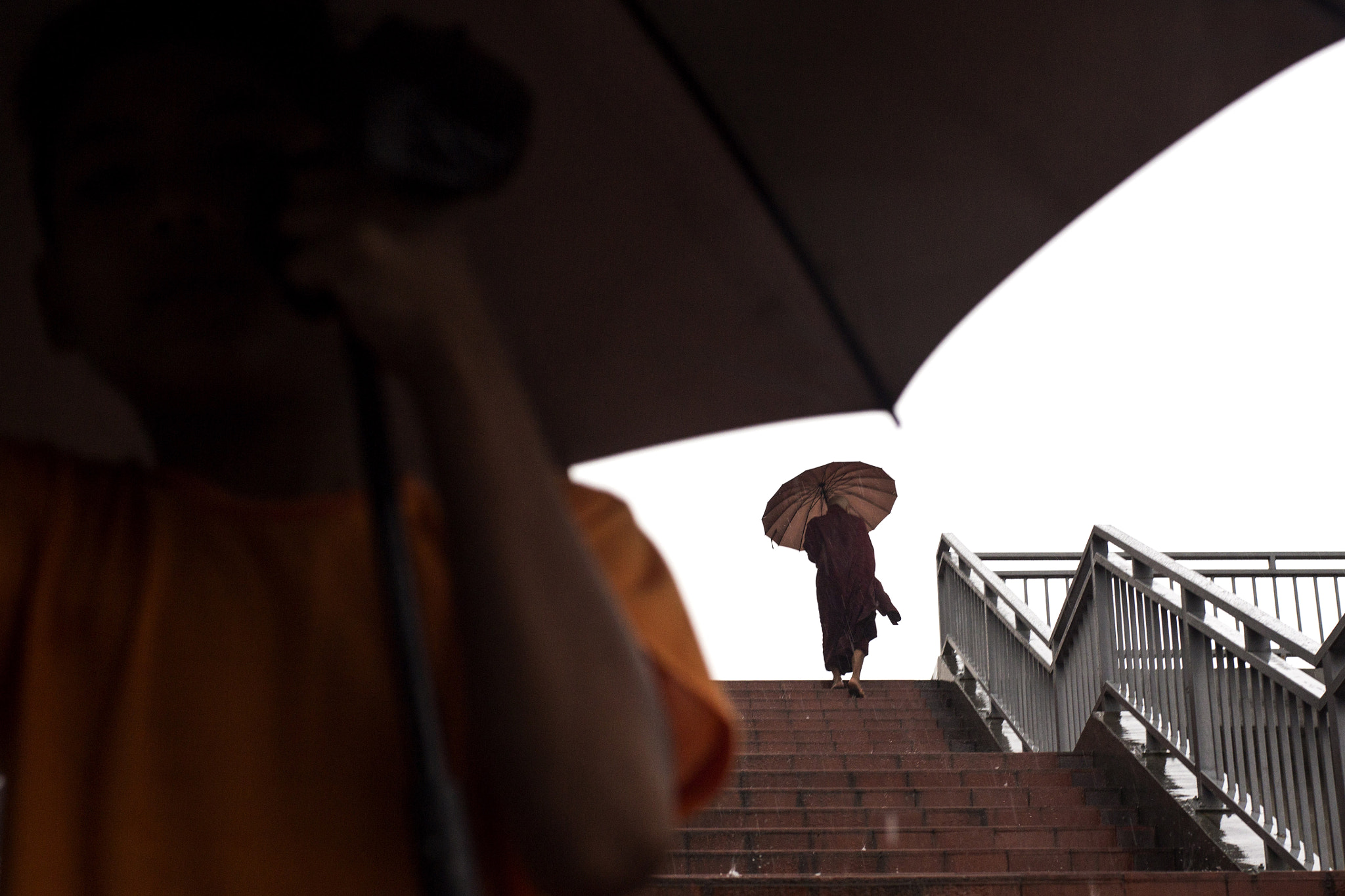 ZEISS Planar T* 50mm F1.4 sample photo. Monsoon photography