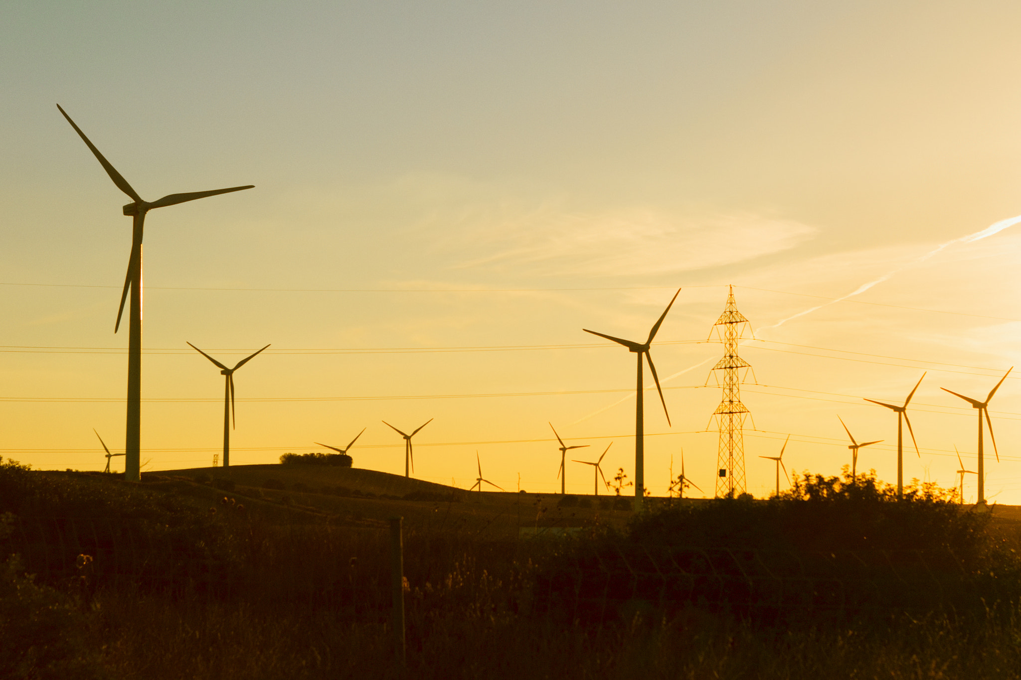 Electric windmills.