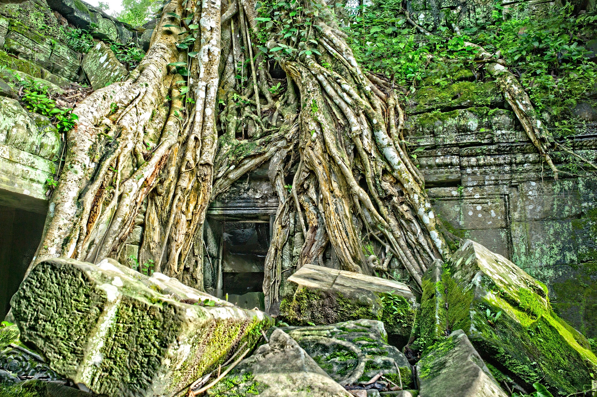 Leica Summicron-M 28mm F2 ASPH sample photo. Ruins of angkor photography