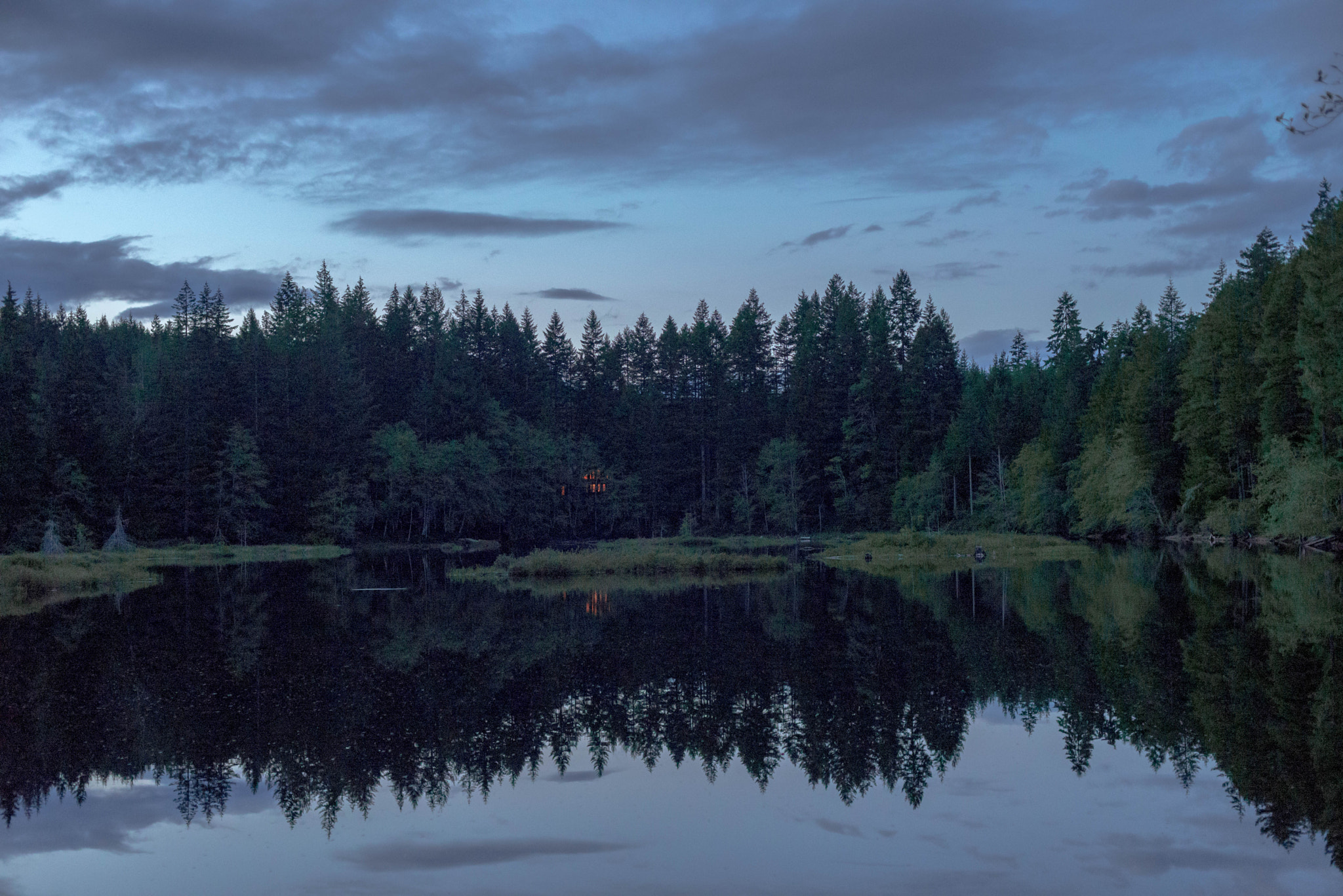 Nikon D600 + AF Nikkor 50mm f/1.4 sample photo. Trees and lake photography