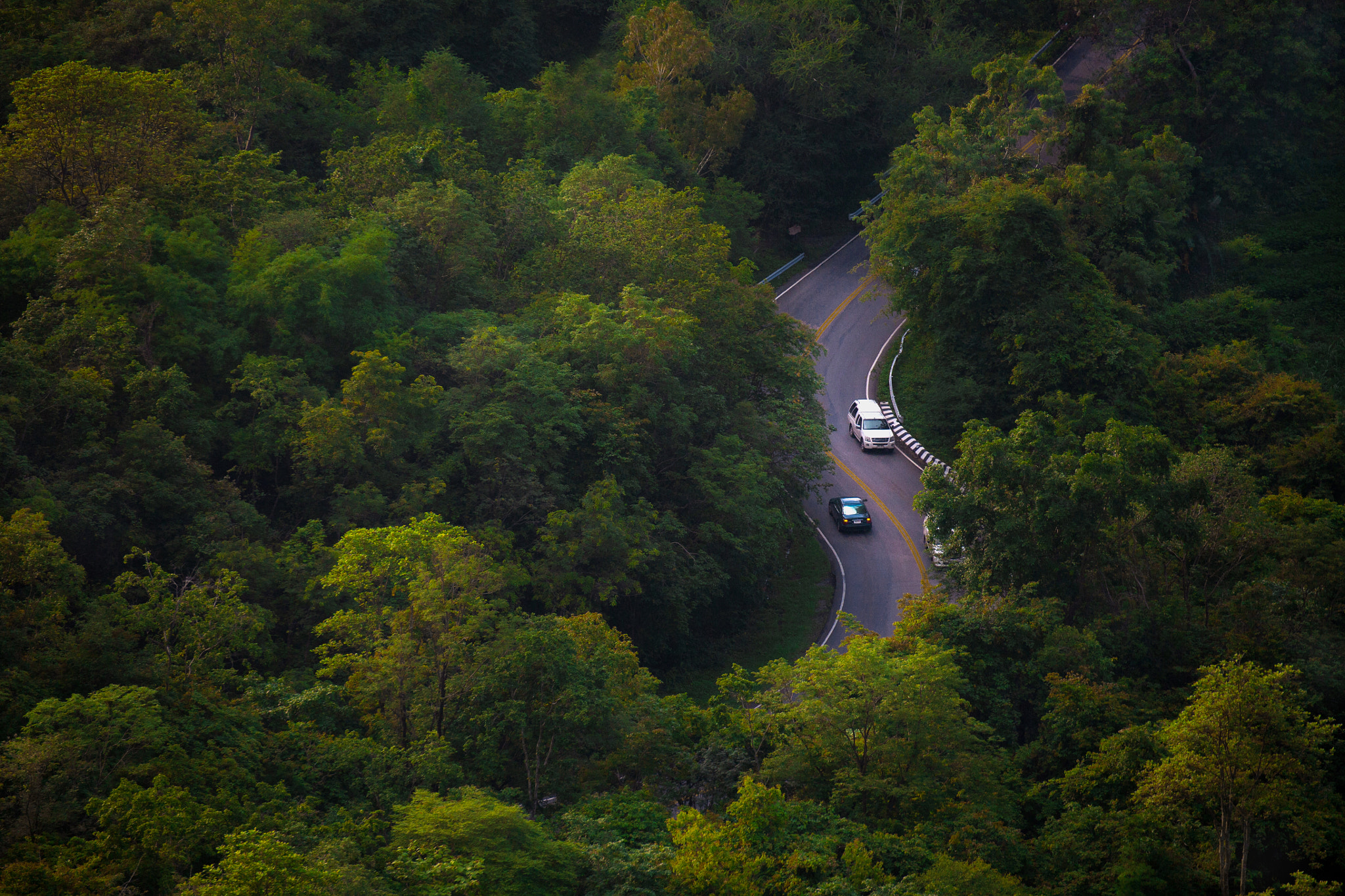 Canon EOS 5D + Tamron SP 70-300mm F4-5.6 Di VC USD sample photo. Road in green forest,thailand photography