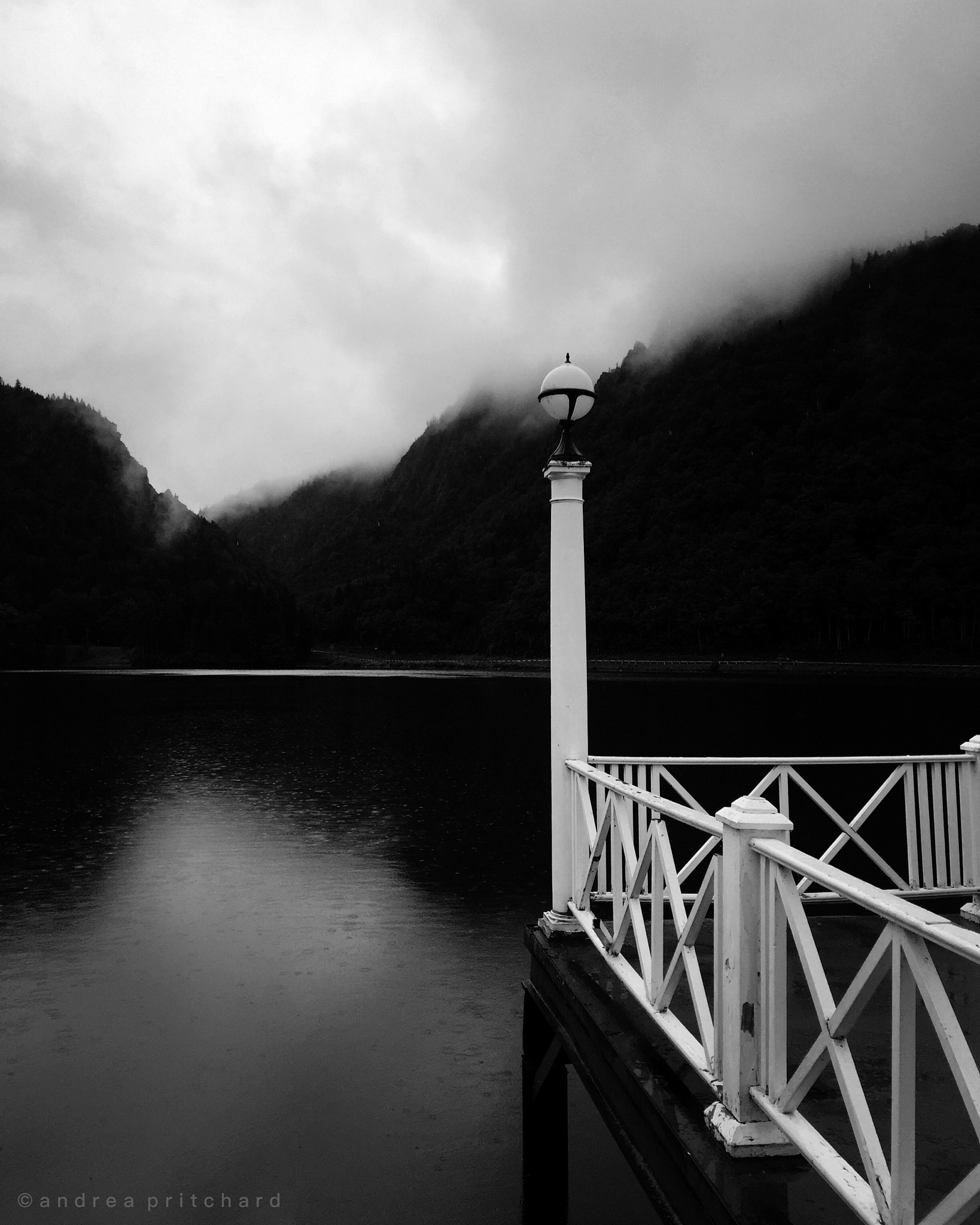 Blackie Camera sample photo. "silence is a source of great strength." photography