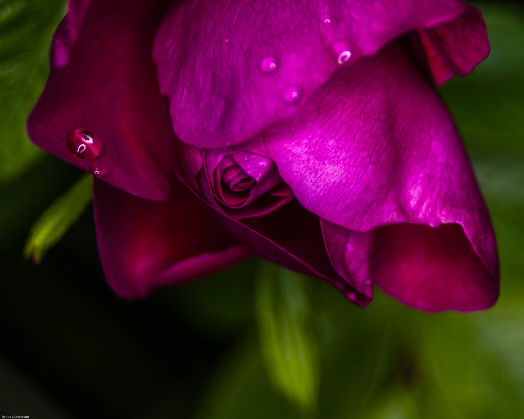 AF Zoom-Nikkor 24-50mm f/3.3-4.5D sample photo. Catching the rain photography
