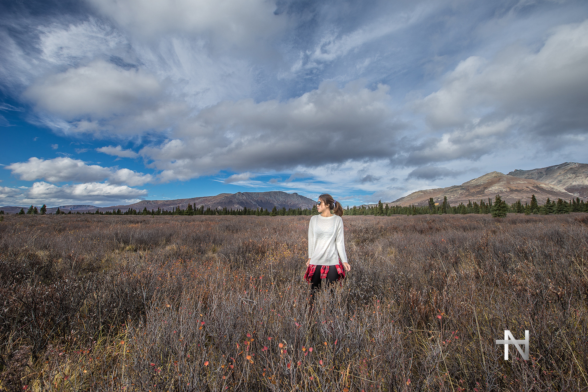 Sony a7 II + Canon EF 16-35mm F2.8L II USM sample photo. Alaska mckinley denali national park photography