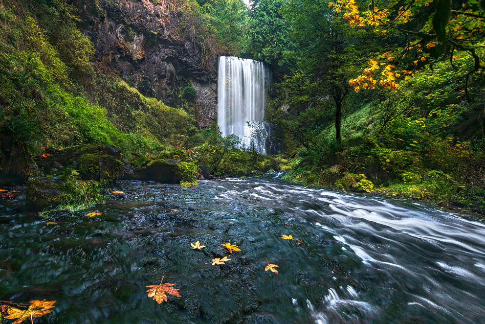 Sony a7R II + Canon EF 11-24mm F4L USM sample photo. Arrival of fall photography