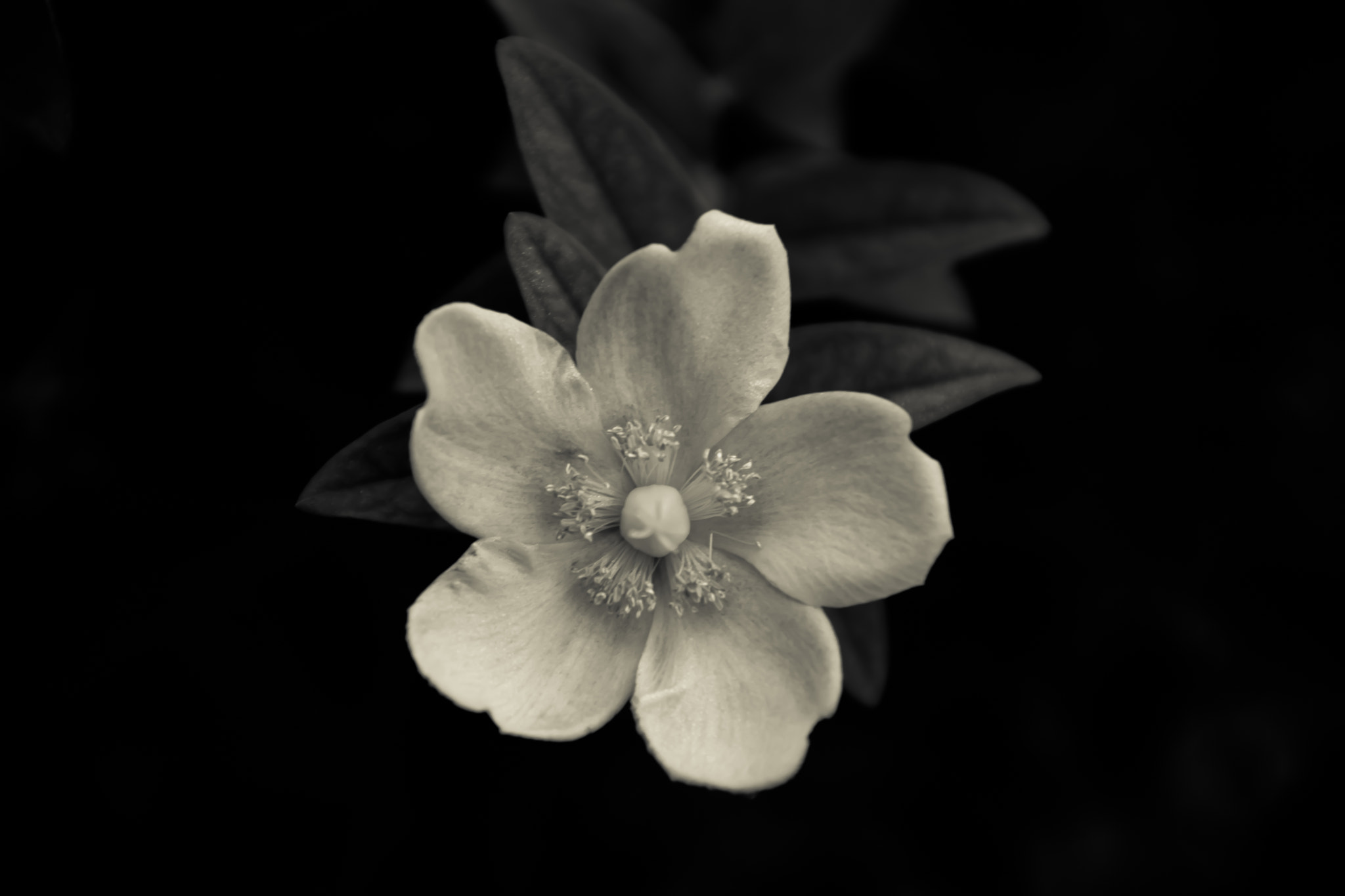 EF28-70mm f/2.8L USM sample photo. Alone in the darkness photography