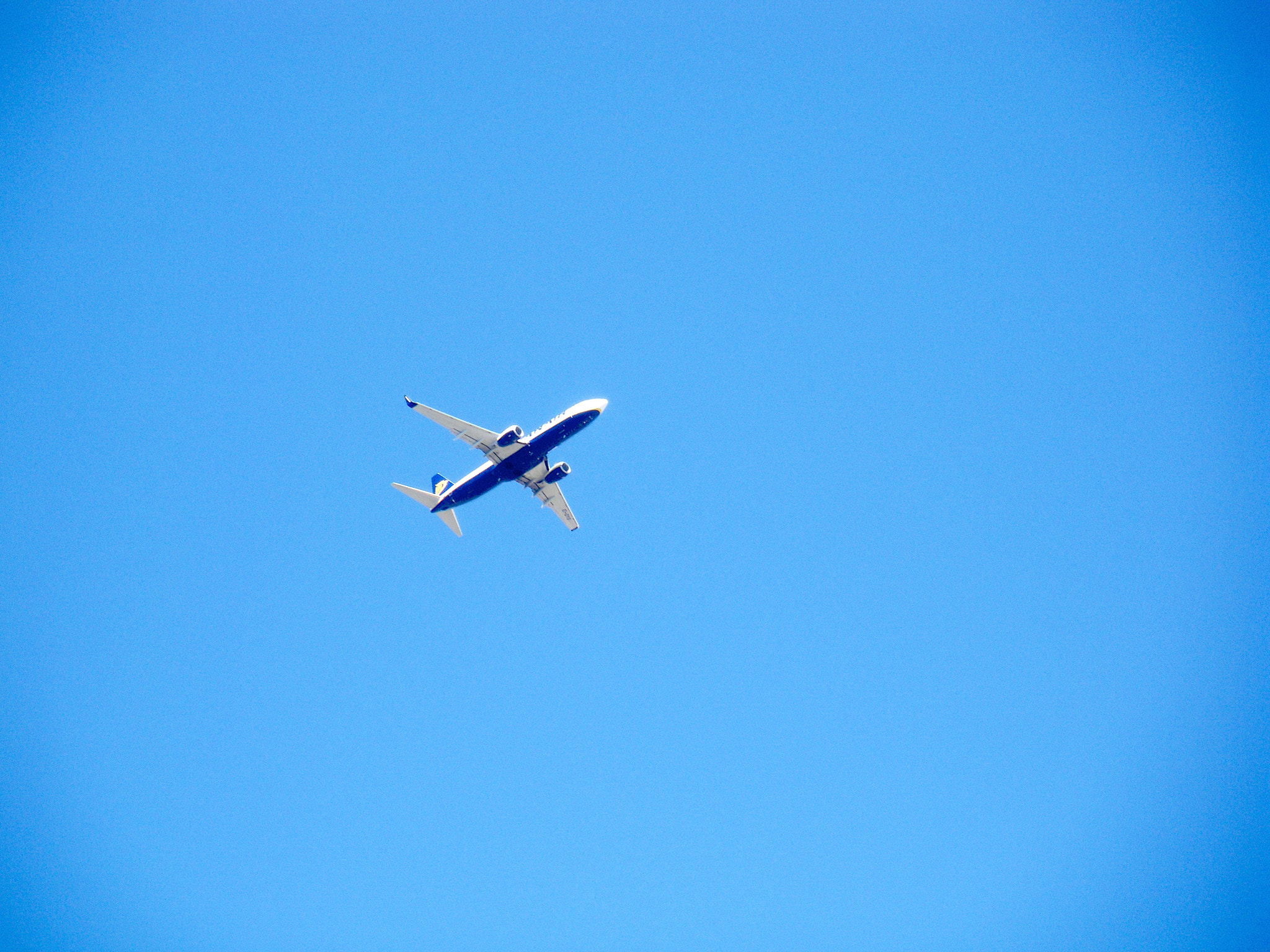 Pentax Optio M60 sample photo. Flying and blue photography