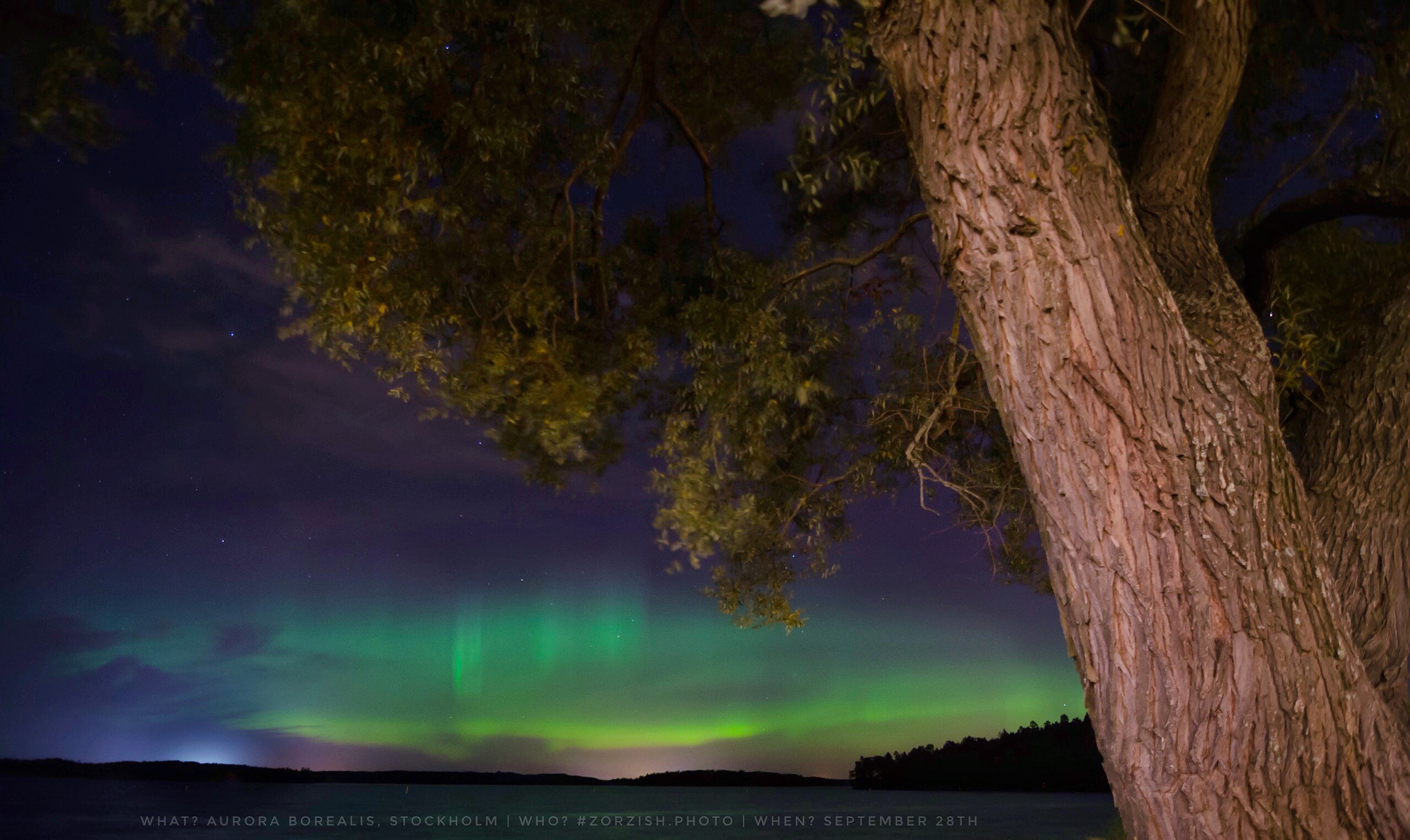 Tokina AT-X Pro 11-16mm F2.8 DX sample photo. Aurora borealis over stockholm! photography