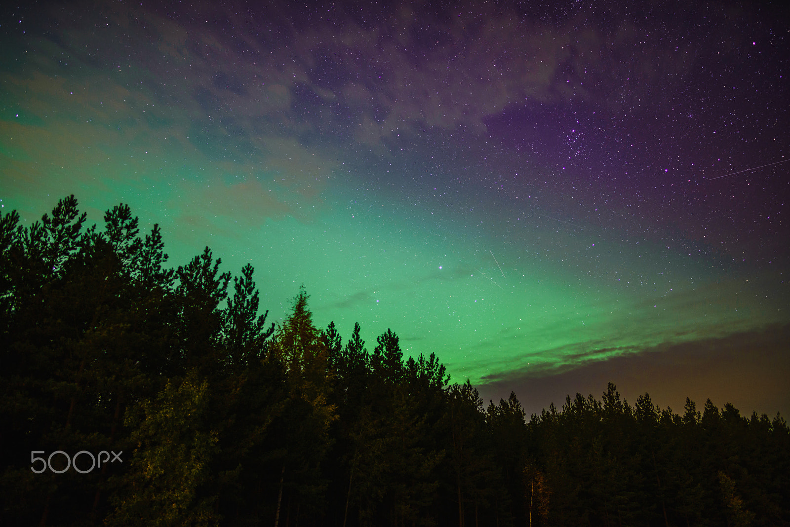 Samyang 12mm F2.8 ED AS NCS Fisheye sample photo. Nocturnal 2 photography