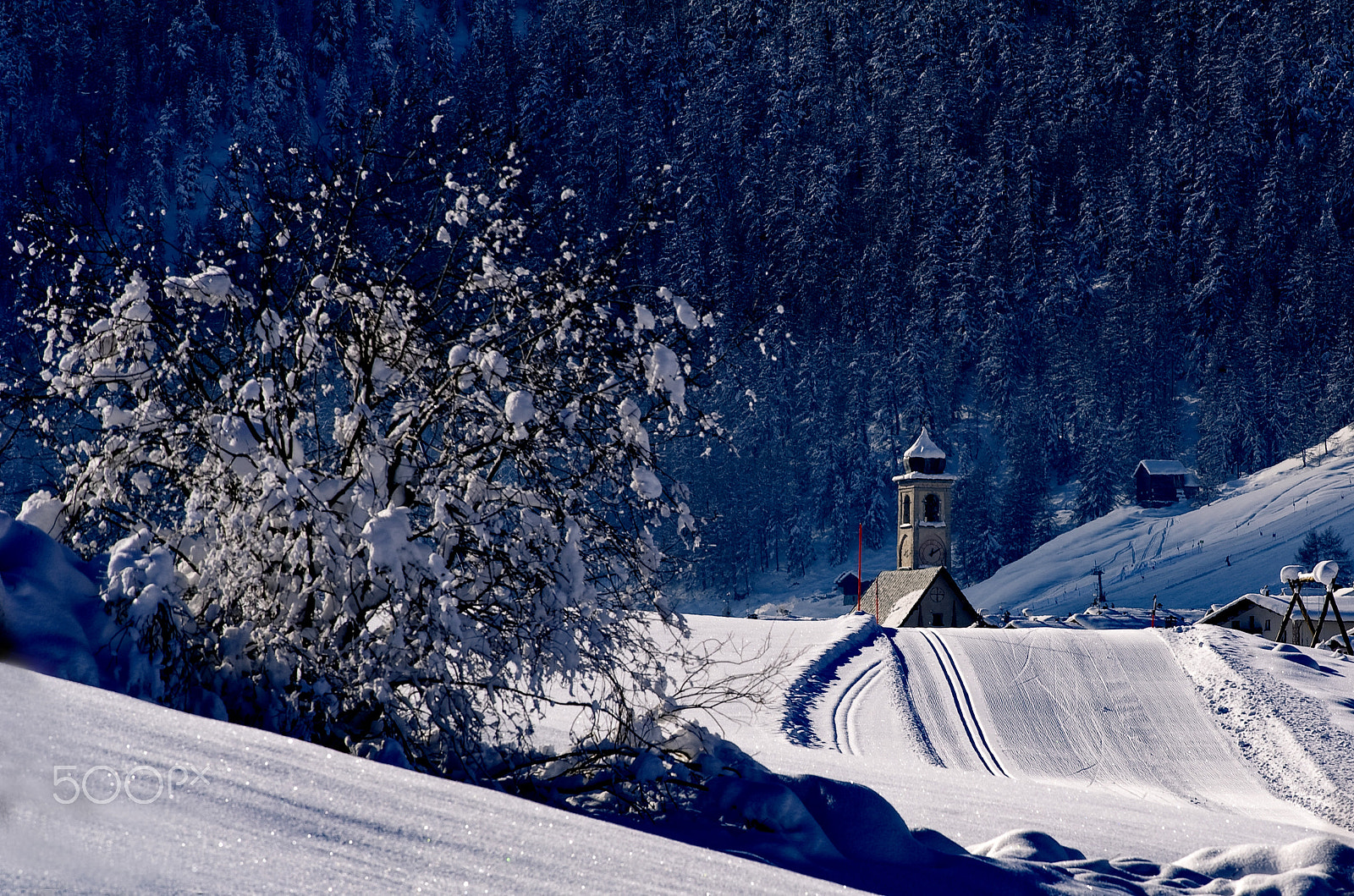 Nikon D3S + Nikon AF-S Nikkor 300mm F4D ED-IF sample photo. Livigno - the color of the cold midday in january photography