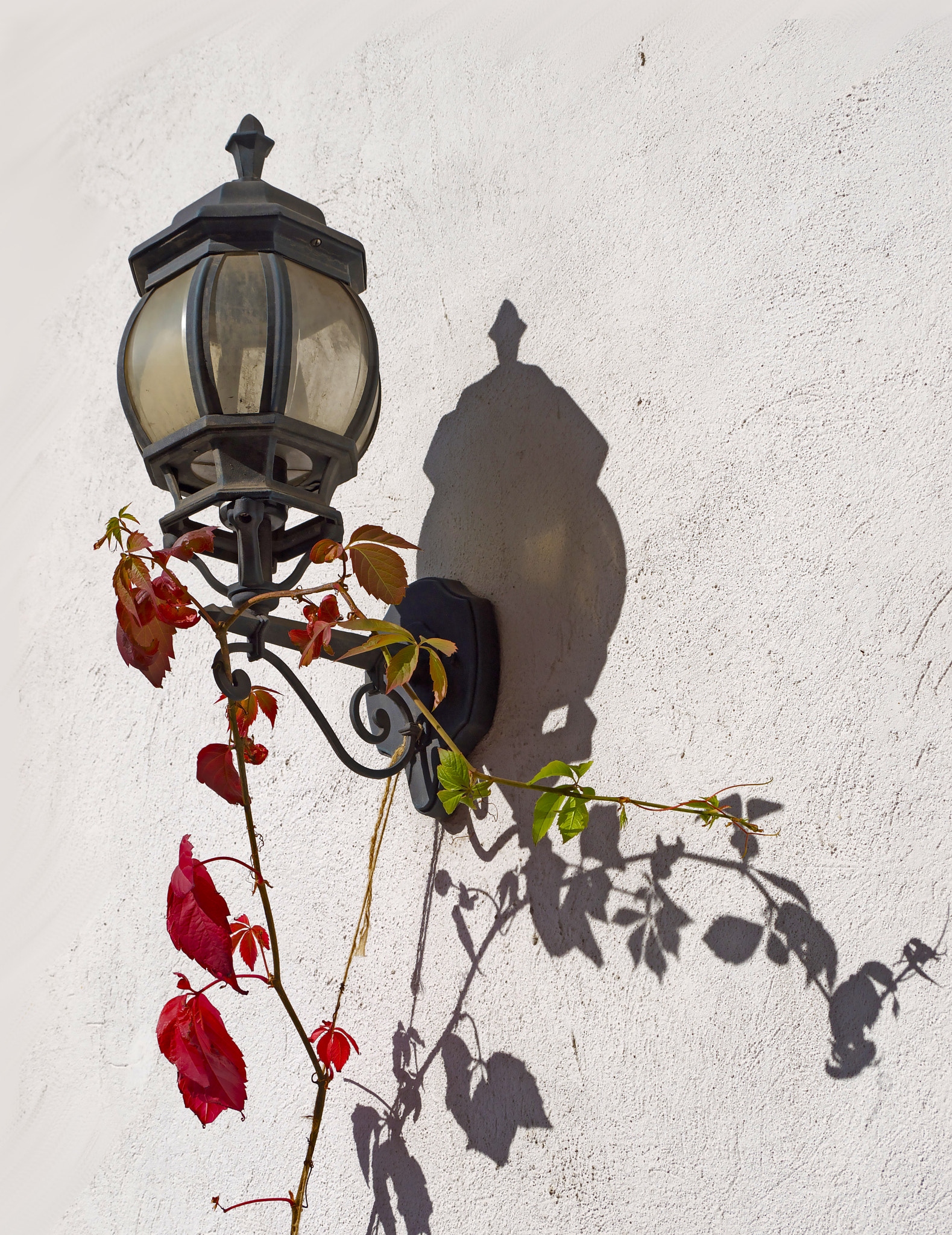 Panasonic Lumix DMC-G2 sample photo. Shadows on the wall photography