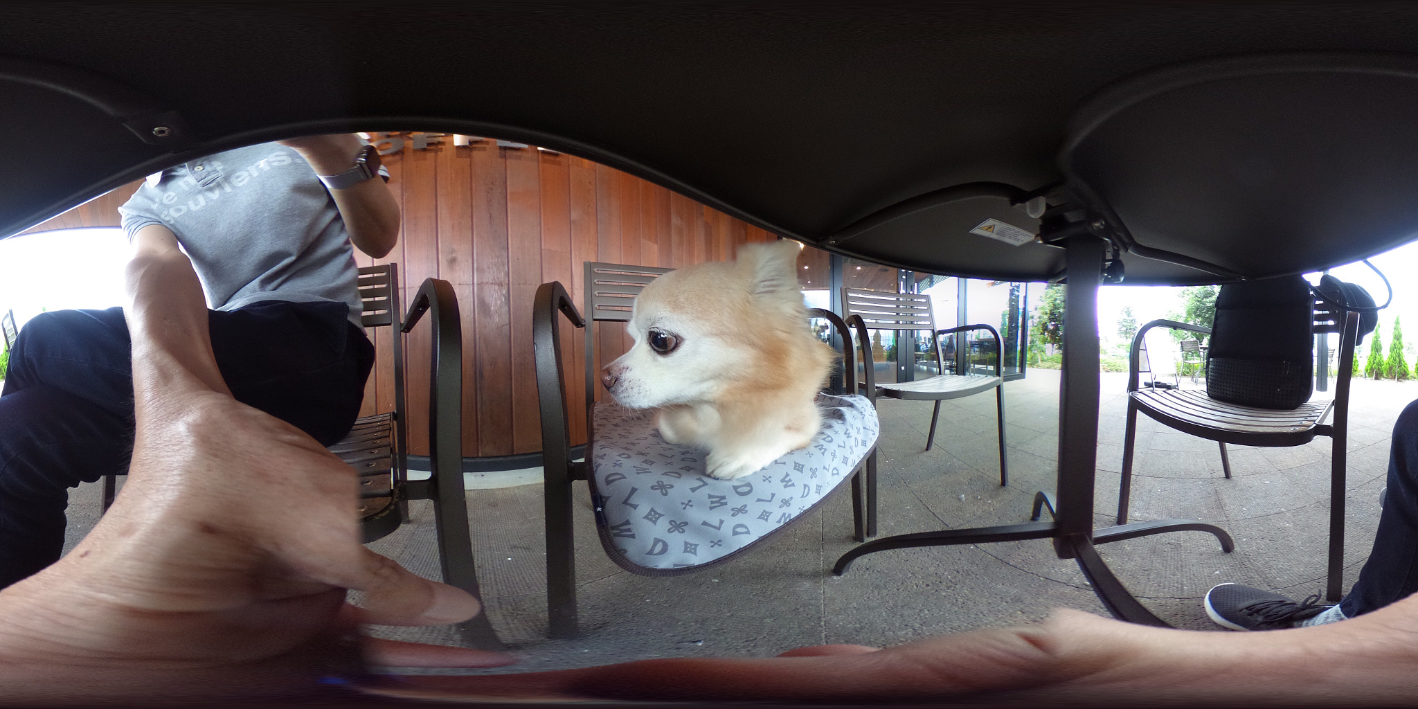 Ricoh Theta S sample photo. Ricoh theta s : september 29 2016 photography