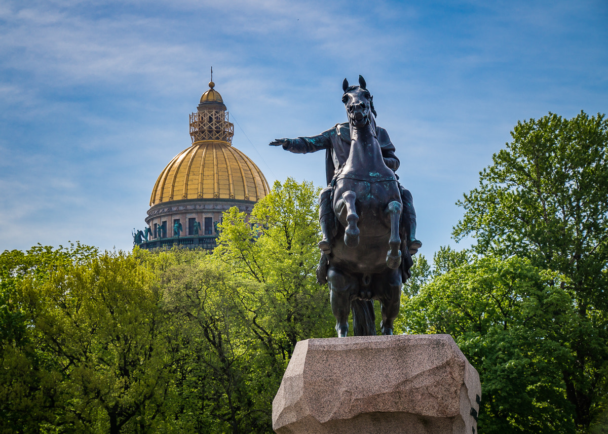 Sony SLT-A58 sample photo. Russian rider photography