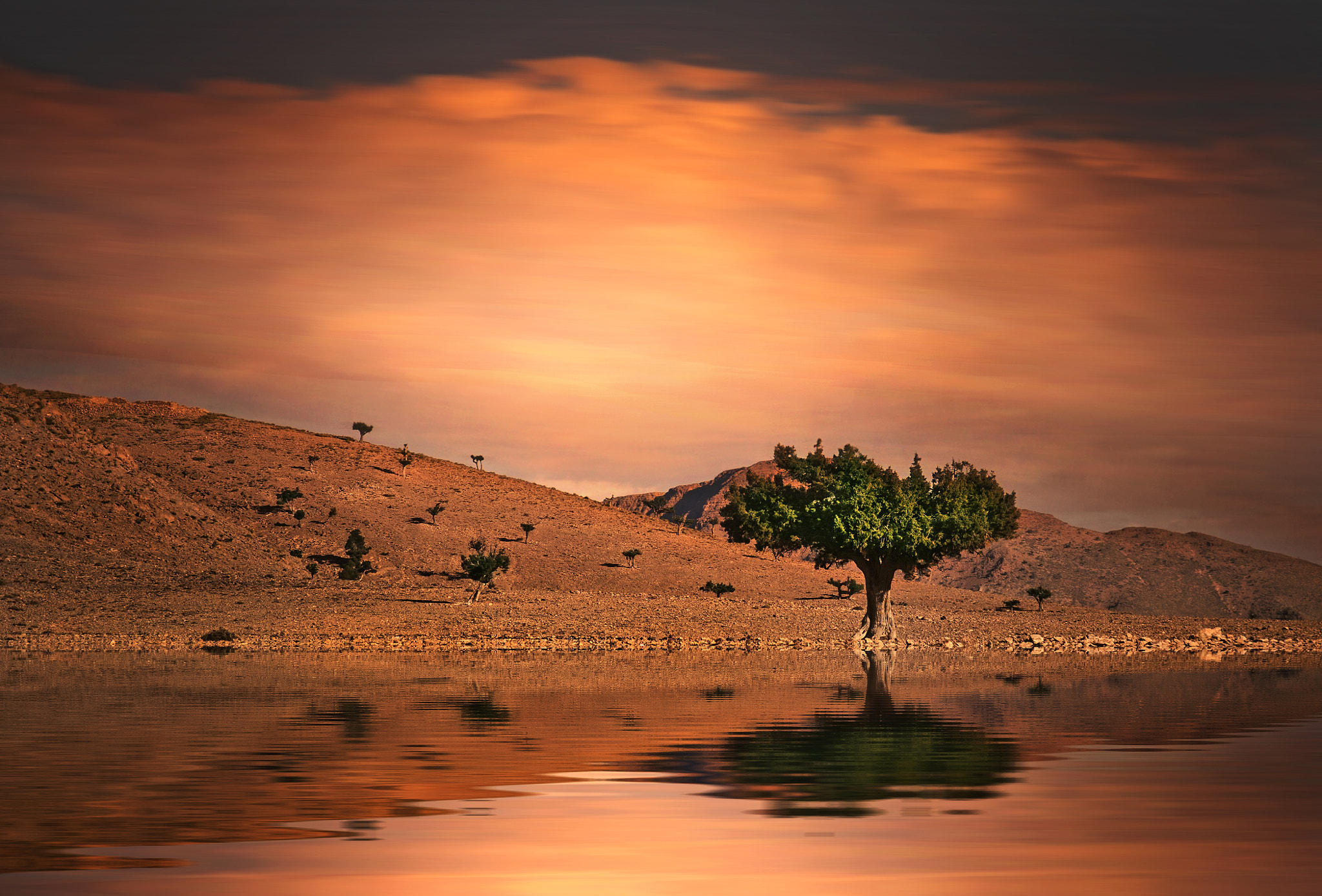 Nikon D300 sample photo. Fineart photography